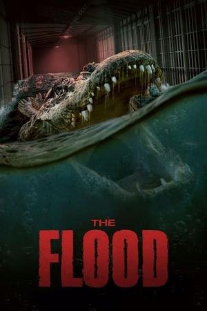 FLOOD